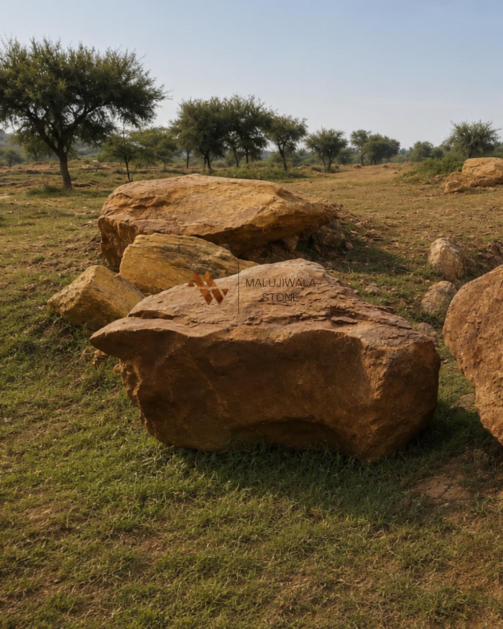 Brown stone boulder for garden landscaping, No. 06
