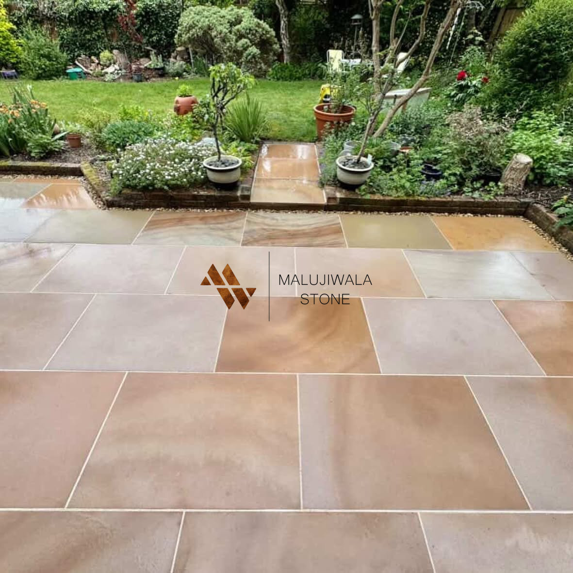 600 x 900 smooth Rippon buff sandstone slabs against planting
